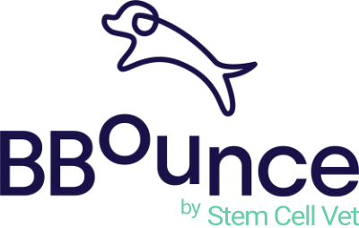 BBounce Ltd