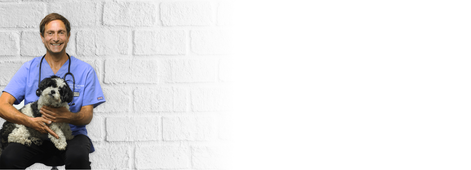 Best selling products