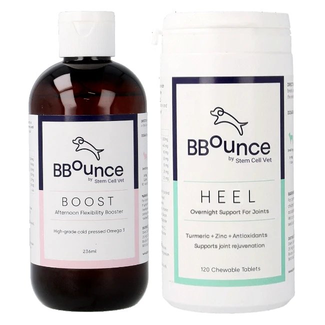 The Bounce Back Formula