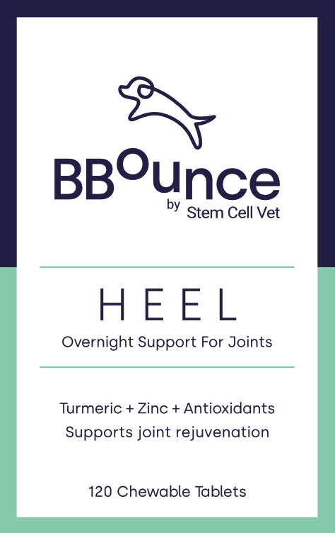 The Bounce Back Formula